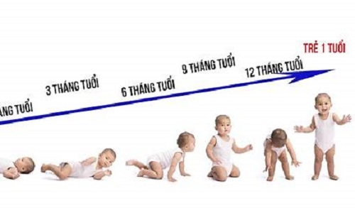Thời điểm phát triển của trẻ tư sơ sinh